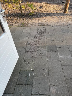 Afbeelding van WhatsApp op 2025-10-07 om 11.18.14_e44af77a