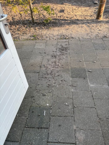 Afbeelding van WhatsApp op 2025-10-07 om 11.18.14_e44af77a